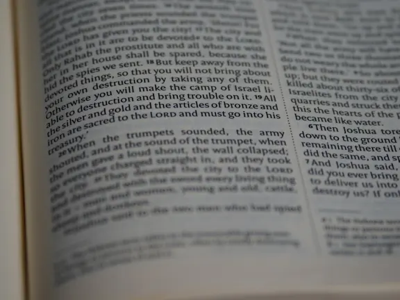 Hejgo Cazino Cazinou Suport